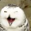 guess hoo