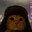 comrade cat