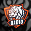 QADIO