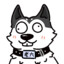 WDNMD