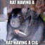 rat having a cig