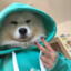 花猫JaCk