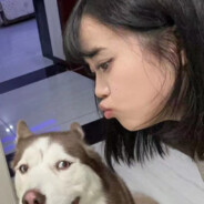 随机任务赢对开