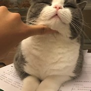 私の責任は超市の掃貨だ