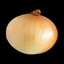 oniion