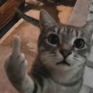 PoGMos | Dassia - steam id 76561198800229027