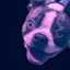 ReliableAmy