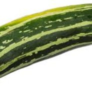 Zucchini