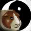 Accio-Cavy