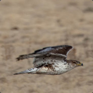 \\u6625\\u98ce\\u6155\\u5c9a