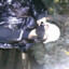 Wahsn bot