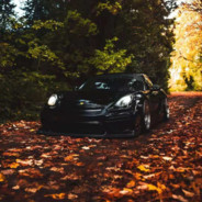 我向你解释和道歉