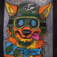 Bingo der Dingo