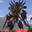 Testobatu