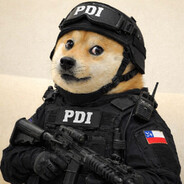 Doge Pro