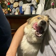 爱吃蘑菇的马里奥