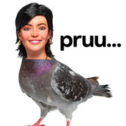 pombinho