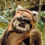 Steemed Ewok