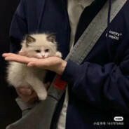 残局和她皆是遗憾