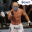 Boxer
