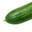 Adorable_Dick