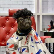 人称唐山扛把子 不服就干！