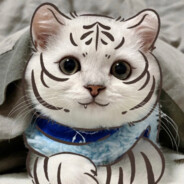 老大说老大从不跳伞