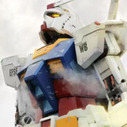 小橘猫狂炫砂糖橘