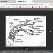 谁上号谁四圈加