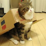 Boxcat2