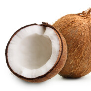 It's the Coconut