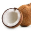 Coconut User