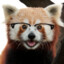 PanTack_27