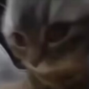 chipichipichapachapadubidubi