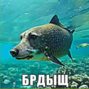 reaLdaM