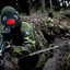 Pingu i militären