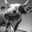 Zesty Cow