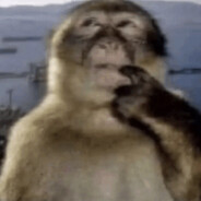 Monkey Man Jr.