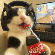 Koss~ - steam id 76561199745649230