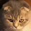 talle_r_evert