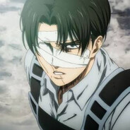 Levi