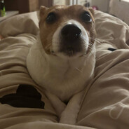 !хакер!⚠️владик