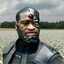 negroid
