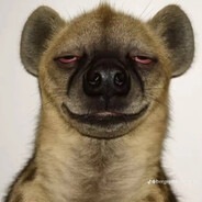 Gibbon