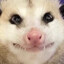 AetherWolfz2