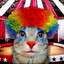 clown