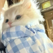 auud's avatar