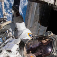 多么想跟你散步桥上把臂看着风景