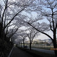 你是我的小波波