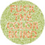Colorblind Loser